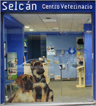 Selcn. Centro veterinario y tienda de animales en Avils